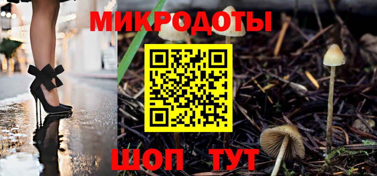 Псилоцибиновые грибы Psilocybine cubensis  Псилоцибиновые грибы мицелий  Вход с VPN  наркошоп  Волгоград 